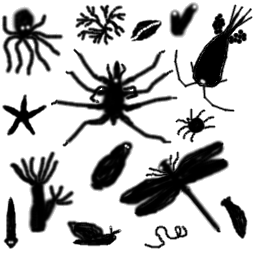 Group of invertebrates including an Octopus, Moss animal, Clam, Sponge, Sea star, Sea Spider, Copepod, Mite, Planarian, Hydra, Leech, Dragonfly, Snail, Round worm and a Sea Cucumber
